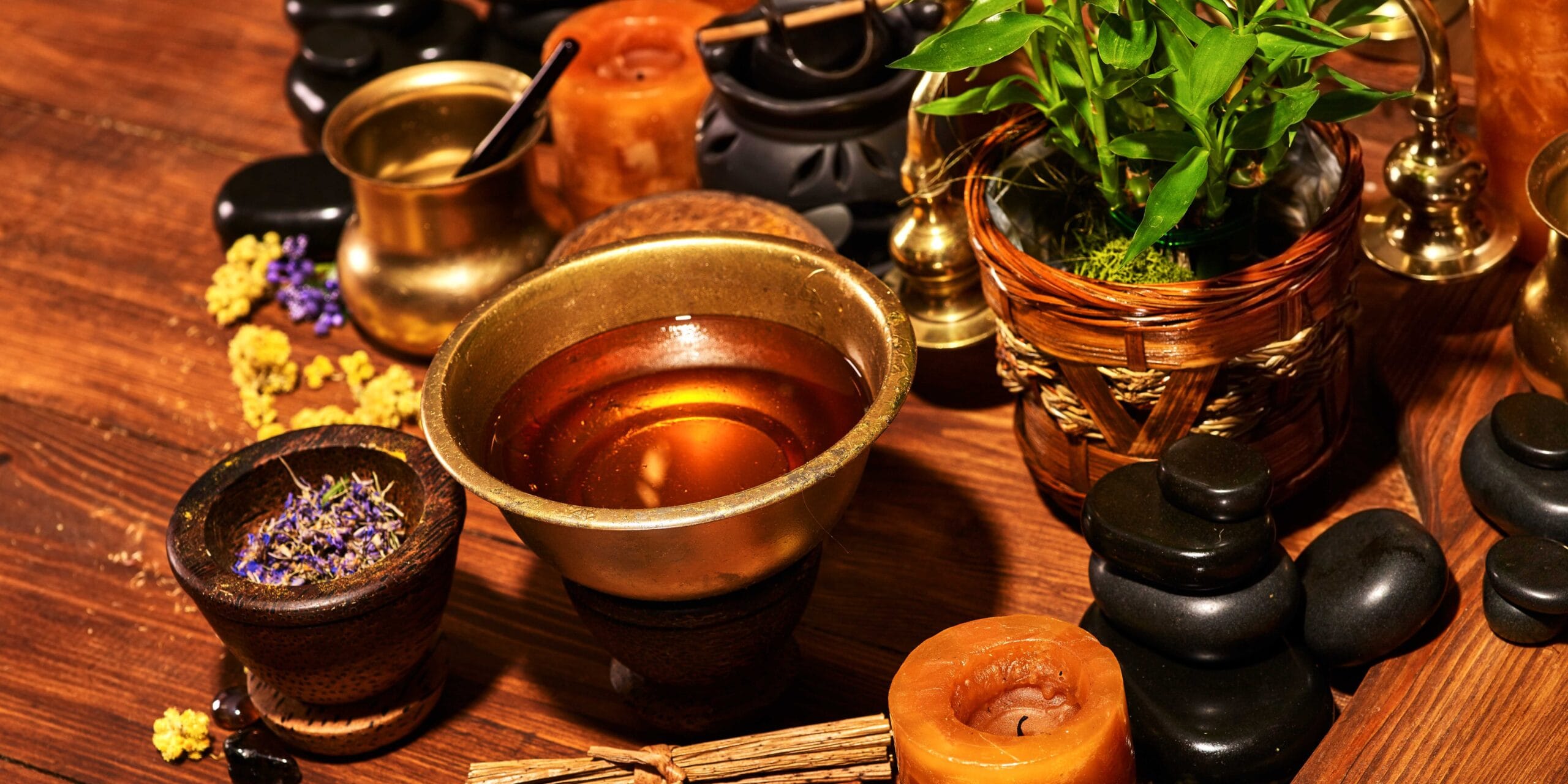 How Ayurvedic Plants Can Transform Your Health